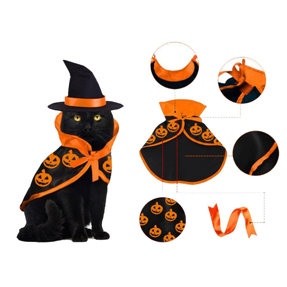 Black cat dressed in Halloween witch costume cape and hat with detailed close-up illustrations of capes design and ribbons