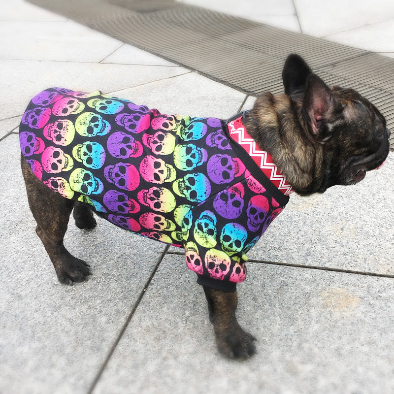 Side profile of French bulldog walking on pavement wearing a long-sleeve rainbow skull shirt with black cuffs