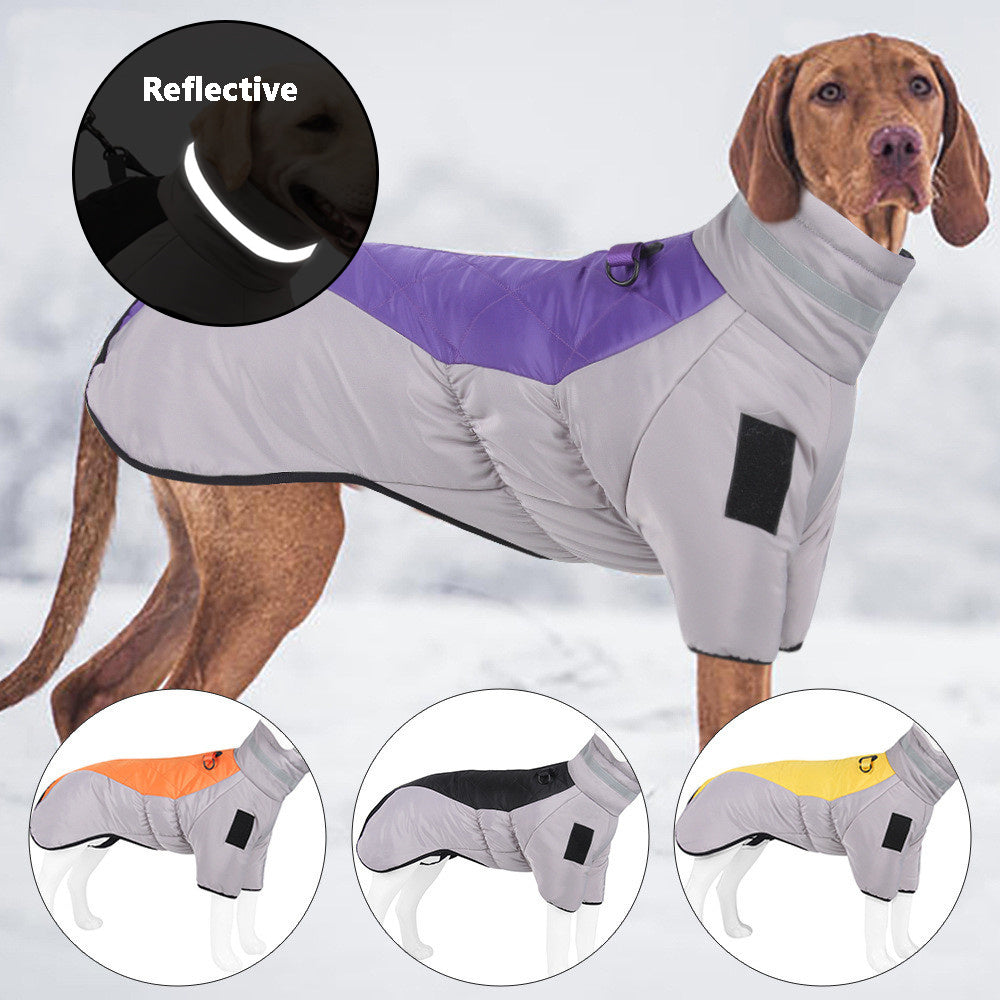 Dog wearing thickened reflective gray and purple warm coat designed for cold weather