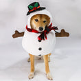 Charger l'image dans la visionneuse de la galerie, Snowman Pet Costume
