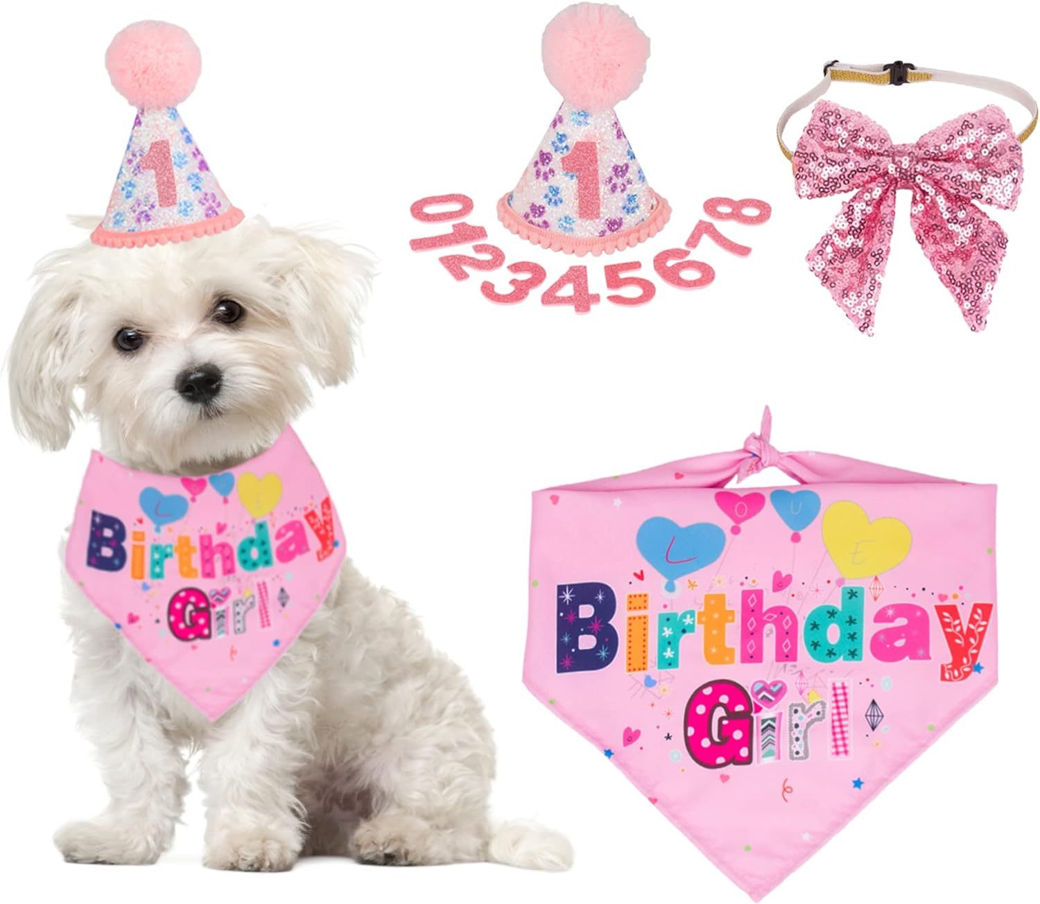 Dog Birthday Party Supplies