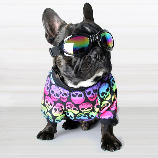 French bulldog wearing rainbow skull print dog shirt with black and colorful skulls and reflective goggles