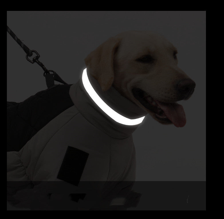 Dog showing glowing reflective collar strip on gray and black warm coat in low light