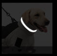 Load image into Gallery viewer, Dog showing glowing reflective collar strip on gray and black warm coat in low light
