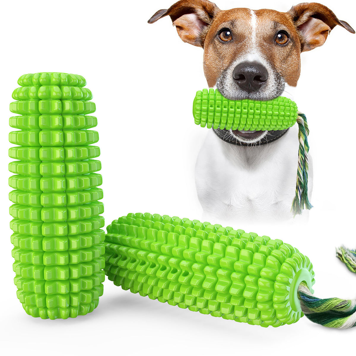 Green corn-shaped chew toy with rope and dog with the toy in mouth