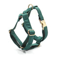 Load image into Gallery viewer, Green velvet adjustable dog harness with gold buckle
