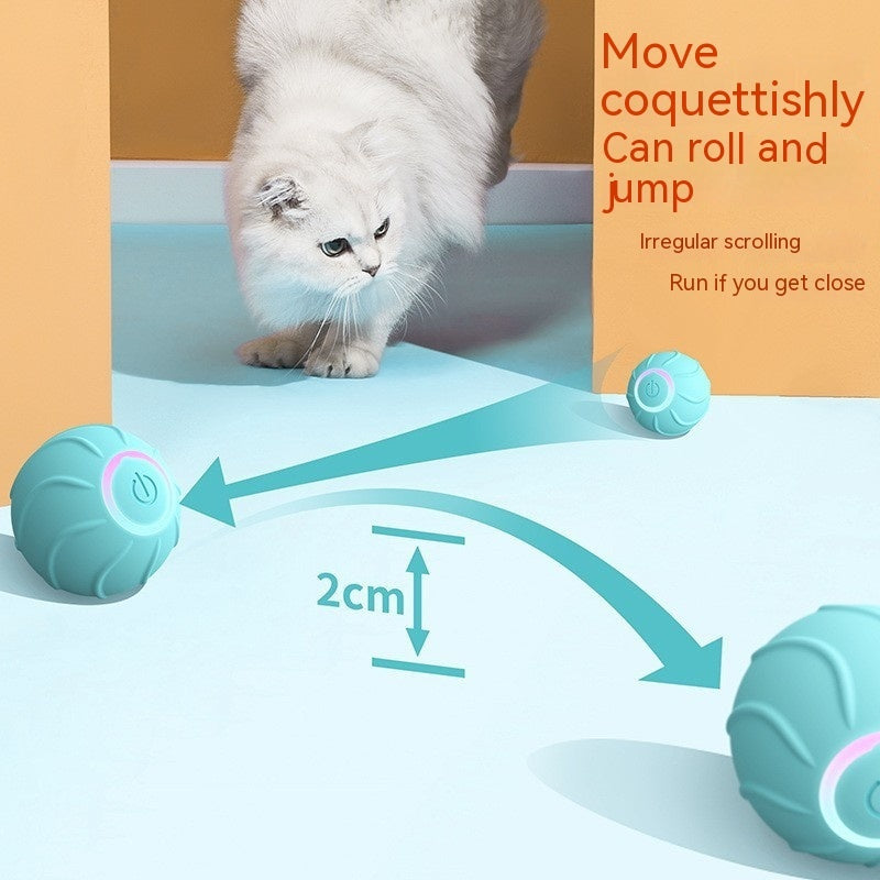 White cat playing with blue rolling ball demonstrating 2cm bounce height