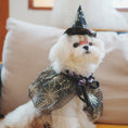 Load image into Gallery viewer, Halloween Dog Holiday Supplies Pet Spider Hat Cat Bib Shawl
