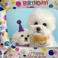 Charger l'image dans la visionneuse de la galerie, Party Birthday Hat Bib Dog Cat Pet Saliva Pocket Saliva Towel Bichon Frise
