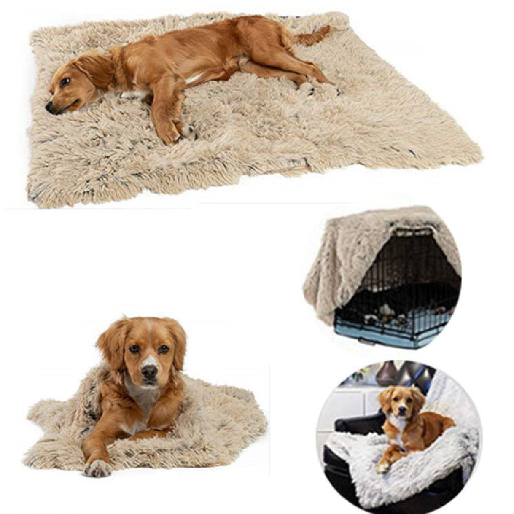Golden brown dog lying on beige plush pet comfort blanket