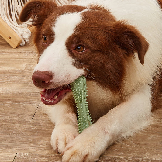 Brown and white dog chewing a green textured TPR rubber chew toy indoors