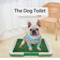 Charger l'image dans la visionneuse de la galerie, Dog sitting on the potty training toilet indoors, showcasing ease of use

