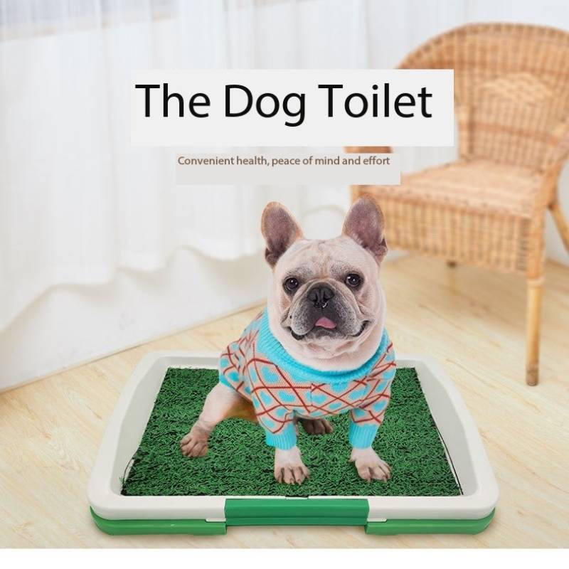 Dog sitting on the potty training toilet indoors, showcasing ease of use