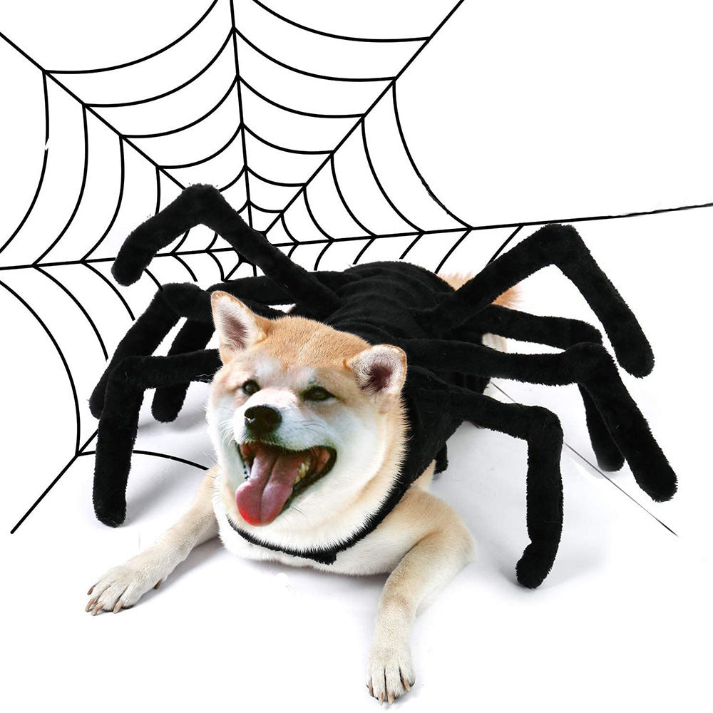 Dog wearing black plush spider Halloween costume with eight flexible legs against a white background with spider web graphic
