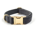 Cargar la imagen en la vista de la galería, Dark gray velvet collar with gold buckle and padded inner lining

