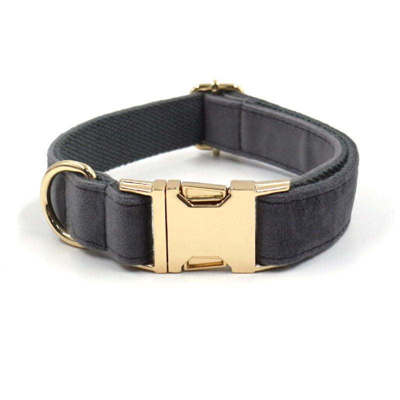 Dark gray velvet collar with gold buckle and padded inner lining