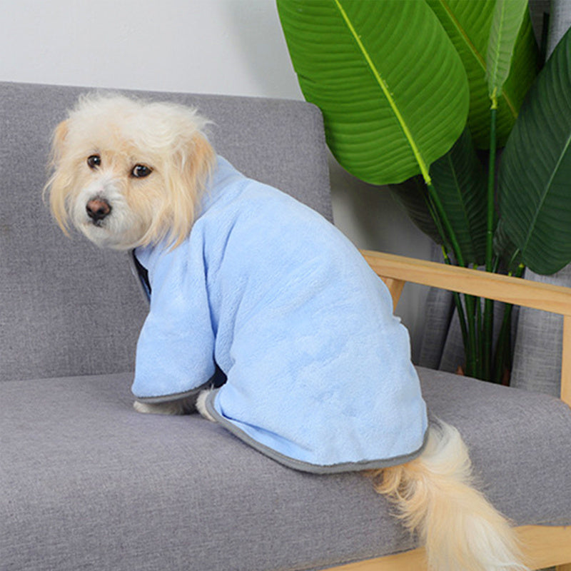 Small white dog wearing light blue microfiber drying robe sitting on gray couch with plant in background, side view