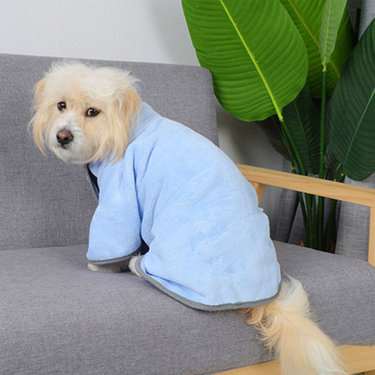 Small white dog wearing light blue microfiber drying robe sitting on gray couch with plant in background, side view