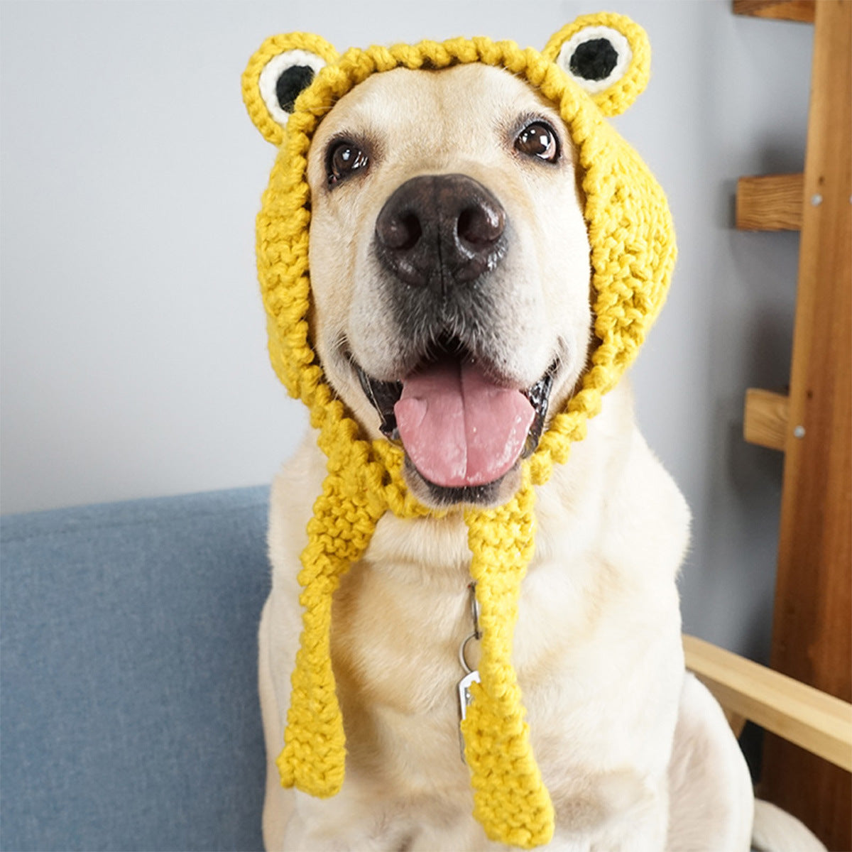 Yellow hand knitted wool hat with eye-shaped ears worn by happy dog