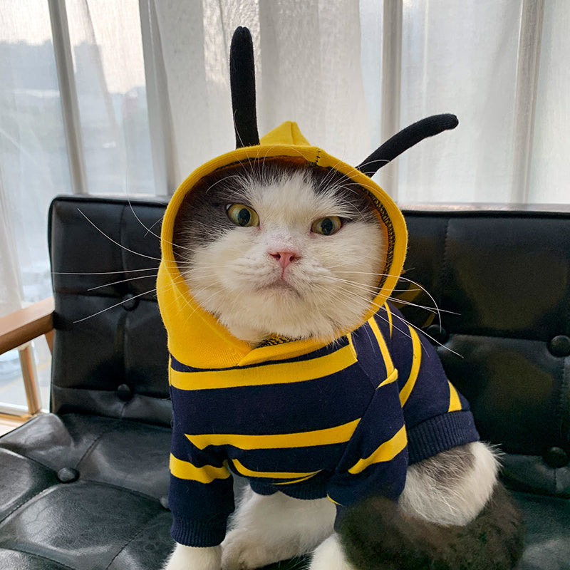 Cat wearing yellow and navy striped bee hoodie with hood and black antennae sitting on black leather couch