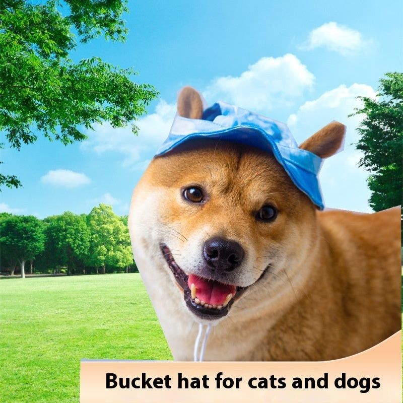 Dog wearing a blue breathable bucket hat in a park