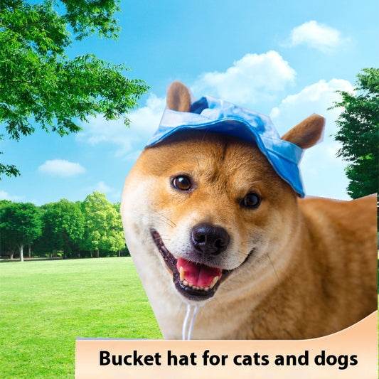Dog wearing a blue breathable bucket hat in a park