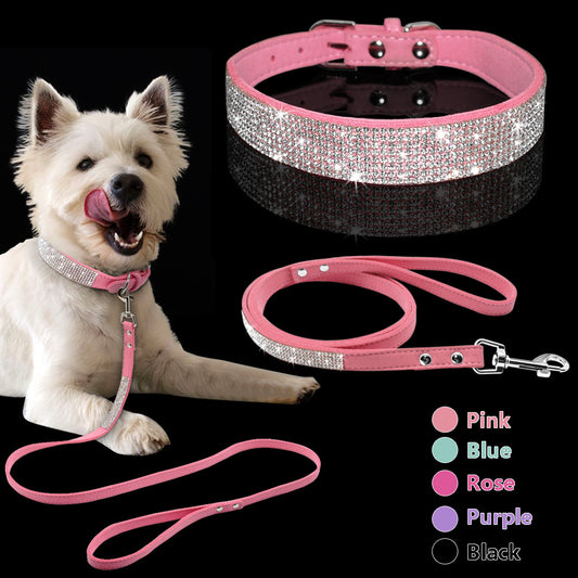 White dog wearing pink crystal-embellished collar and matching leash on black background