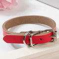 Charger l'image dans la visionneuse de la galerie, Leather dog collar dog chain
