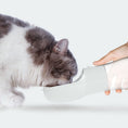 Charger l'image dans la visionneuse de la galerie, Traveling Out Portable Dog Water Dispenser
