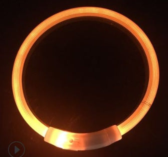 Rechargeable LED Light-Up Dog Collar