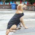 Charger l'image dans la visionneuse de la galerie, Golden retriever wearing black insulated dog coat sitting on pavement outdoors

