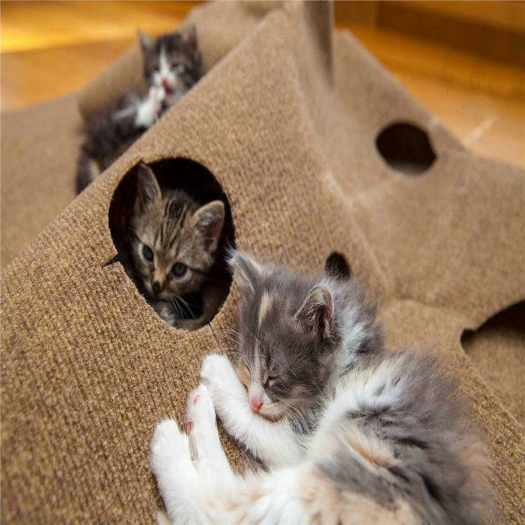 Kittens resting and peeking out from holes in the brown felt cat play mat