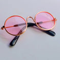 Charger l'image dans la visionneuse de la galerie, Pet photo glasses
