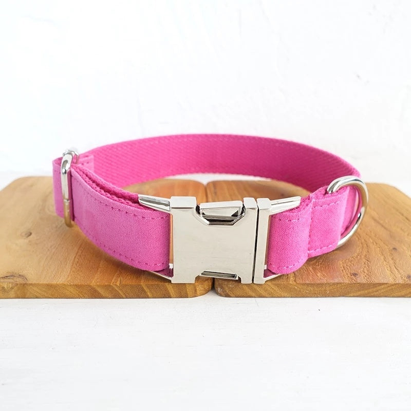 Pink velvet collar with silver quick-release buckle on wooden board