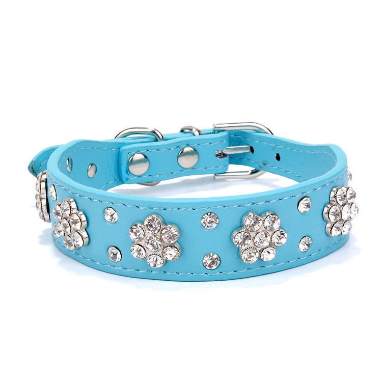 Light blue rhinestone floral dog collar with metal buckle