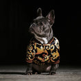 Charger l'image dans la visionneuse de la galerie, French Bulldog sitting front-facing wearing black gold floral patterned dog jacket on dark background
