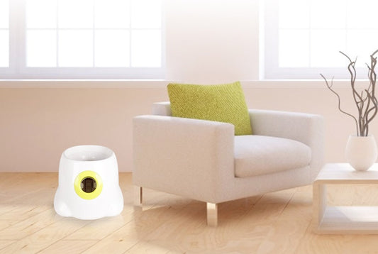 Ball launcher placed on wooden floor next to cream armchair with green pillow in bright living room
