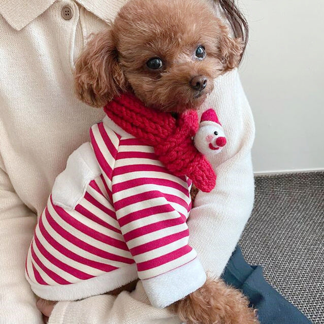 Christmas Dog Clothes Set