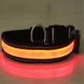 Load image into Gallery viewer, Fluorescent dog collar
