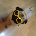 Charger l'image dans la visionneuse de la galerie, Dog Sunglasses Foldable Medium Size Waterproof Goggles UV Protection Glasses For Pets
