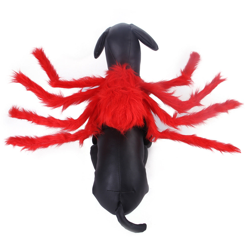 Back view of dog wearing black spider costume with eight fluffy legs