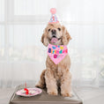 Cargar la imagen en la vista de la galería, Dog Birthday Party Supplies
