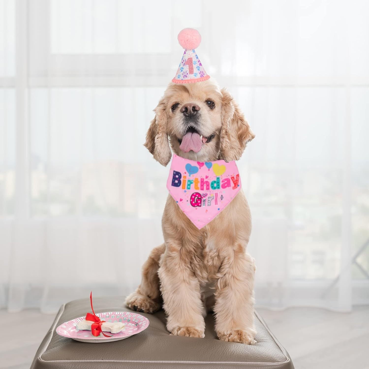 Dog Birthday Party Supplies