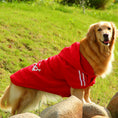 Cargar la imagen en la vista de la galería, Ropa para mascotas
