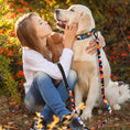Load image into Gallery viewer, Golden retriever dog wearing colorful geometric collar linked to matching leash being petted by a girl
