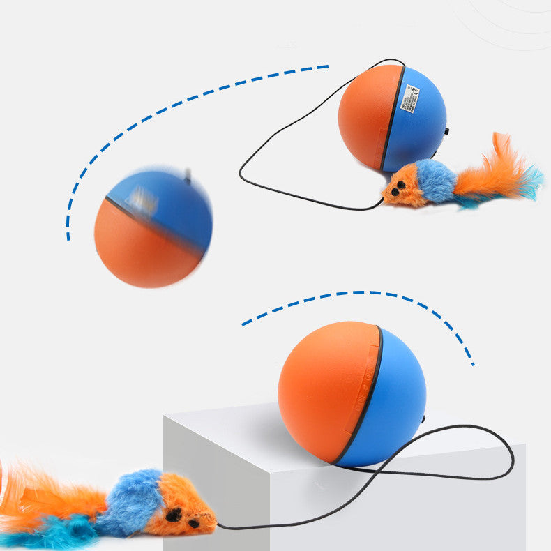 Illustration showing motion of orange and blue ball toy with feather mouse attached on white background