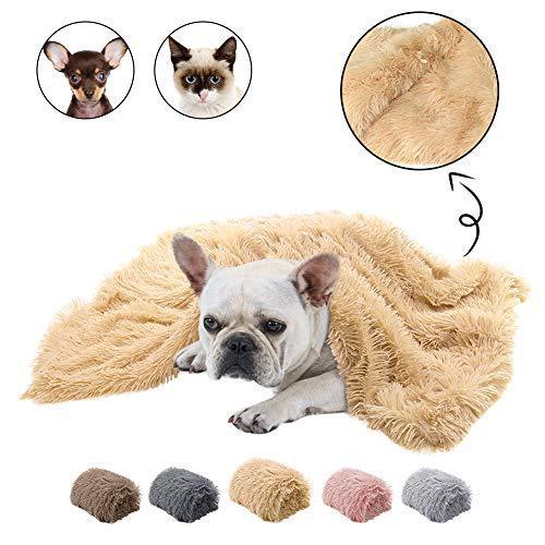 Beige plush pet blanket with a dog laying underneath and small images of cat and dog
