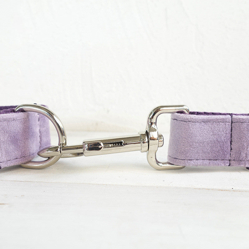 Close-up of durable silver leash clip attached to purple velvet leash