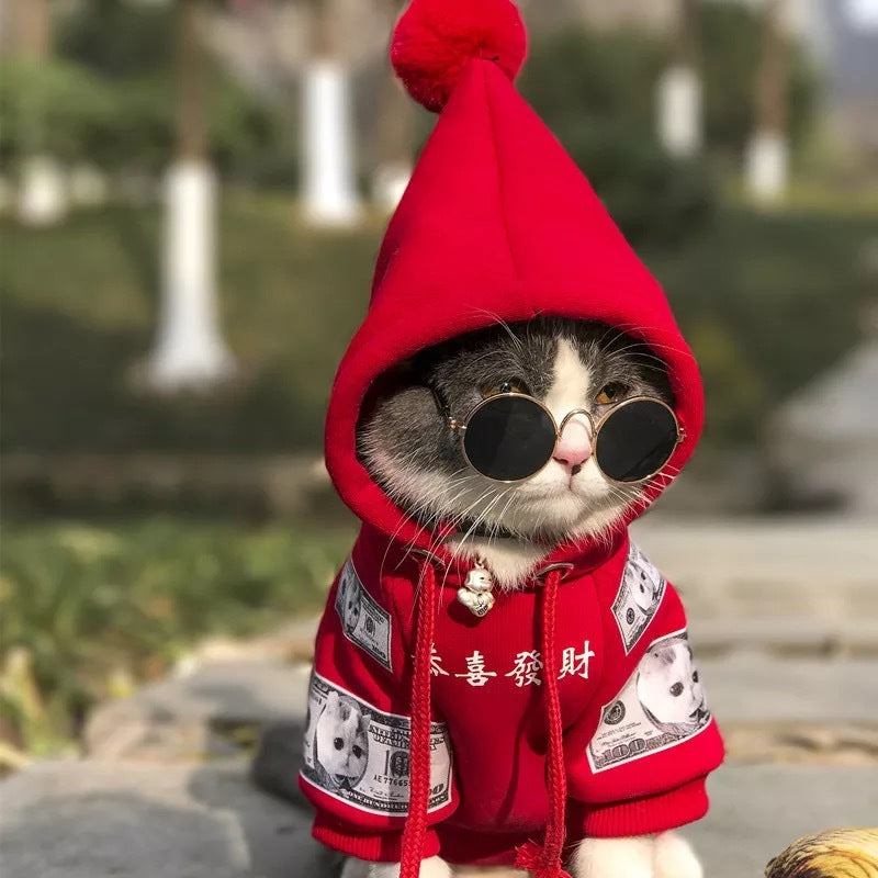 Gray and white cat wearing red cotton fleece pet hoodie with pom pom on hood and wearing round sunglasses outdoors