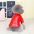 Charger l'image dans la visionneuse de la galerie, Small grey fluffy dog wearing a red waterproof padded dog jacket sitting indoors next to a chalkboard with bunny drawings
